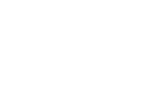 logo white transparent